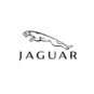 jaguar auto verkopen